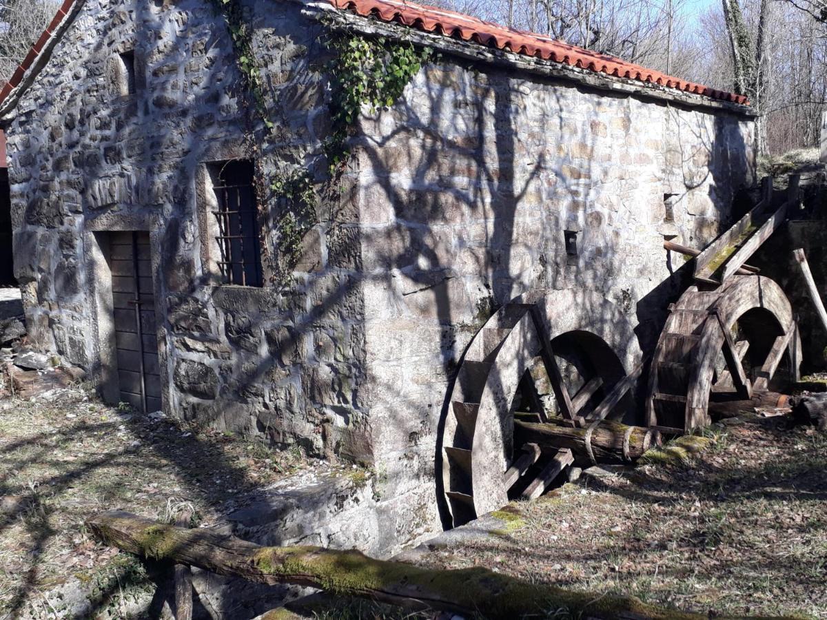 Wine House Rakar Casa de hóspedes Gračišče Exterior foto