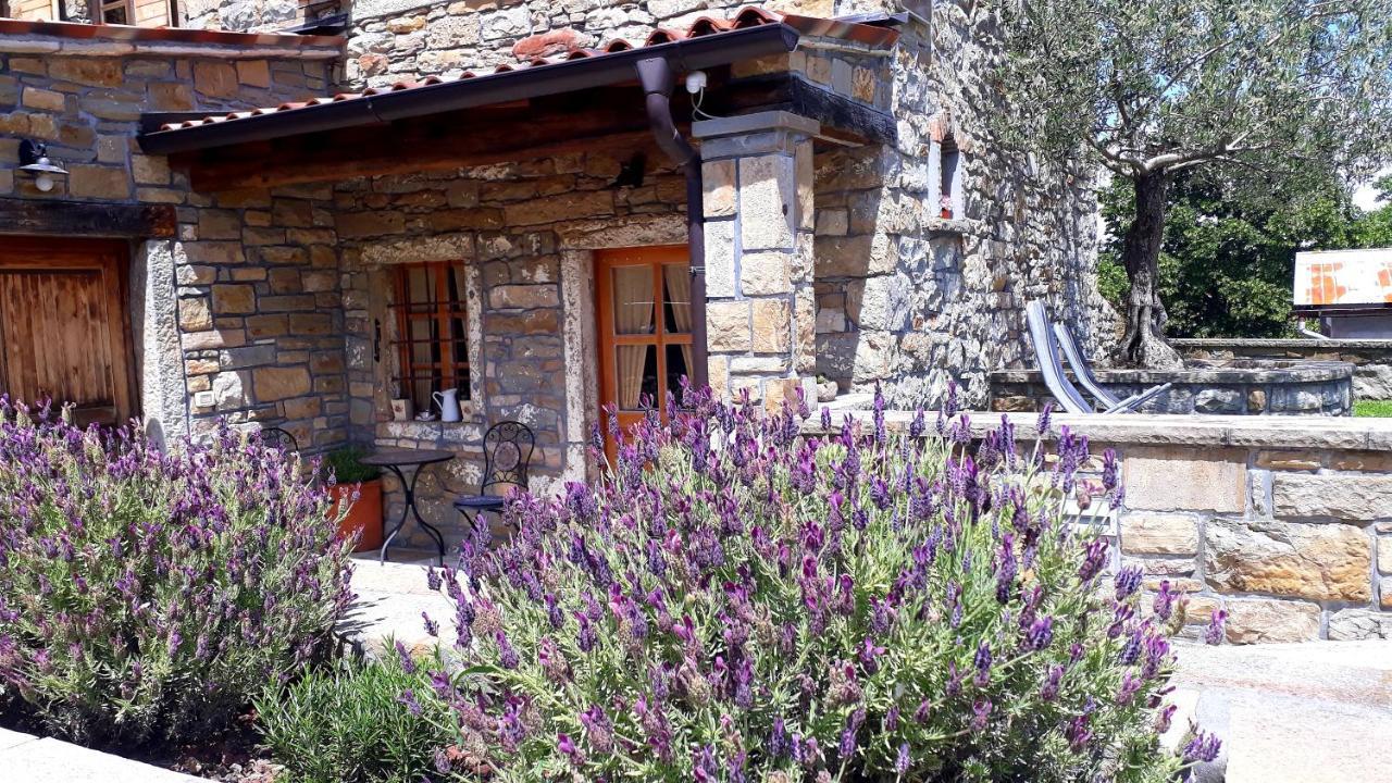 Wine House Rakar Casa de hóspedes Gračišče Exterior foto